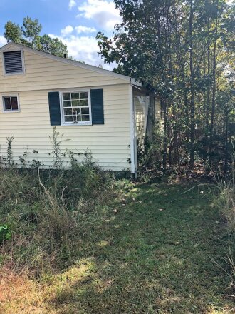 Vacant home overtaken by overgrowth before renovation