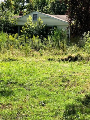 Distressed ranch home surrounded by tall weeds